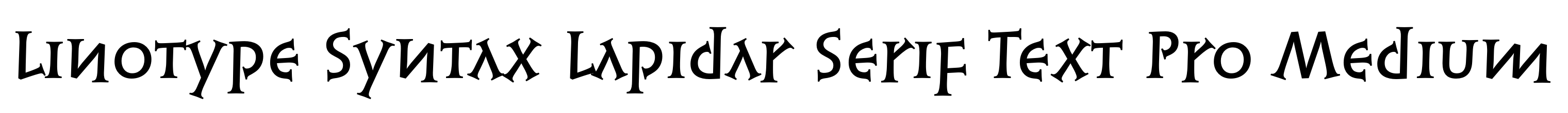 Linotype Syntax Lapidar Serif Text Pro Medium